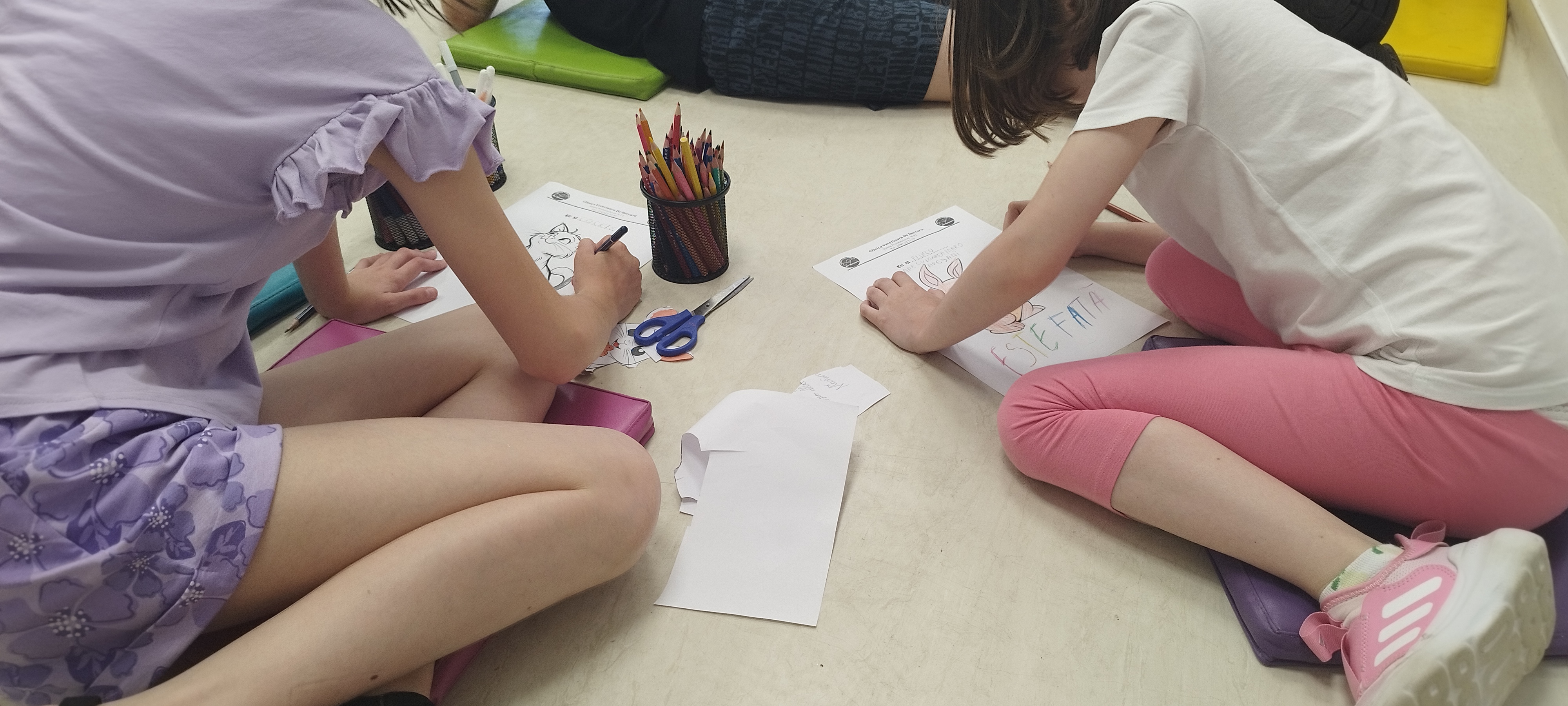 Copii fericiți SoftVet Edu